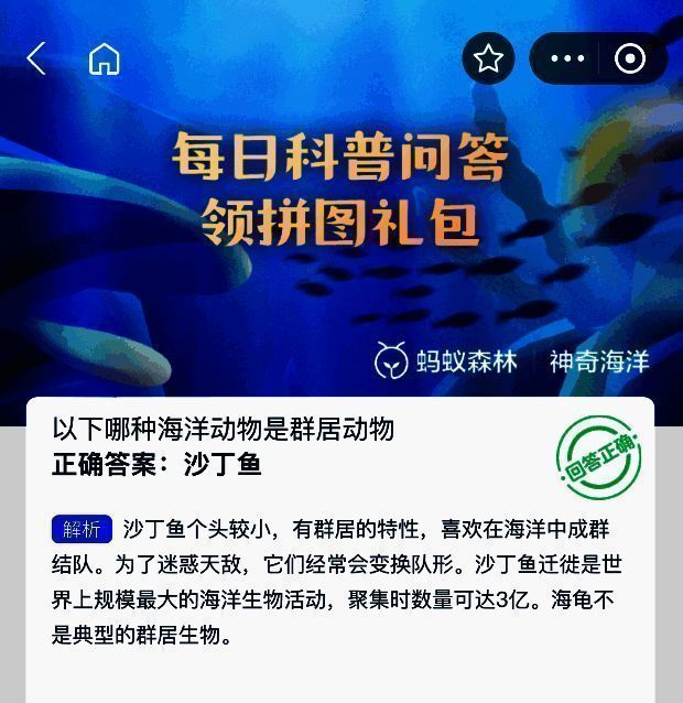 神奇海洋相关图片2