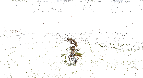 《剑灵2》巨斧职业【冲突】技能动图