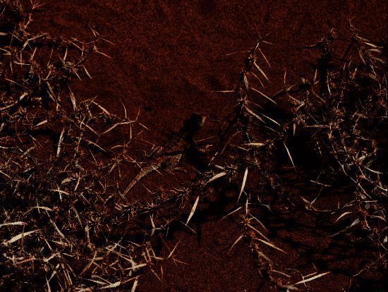 拉格朗日地球日活动相关图片3