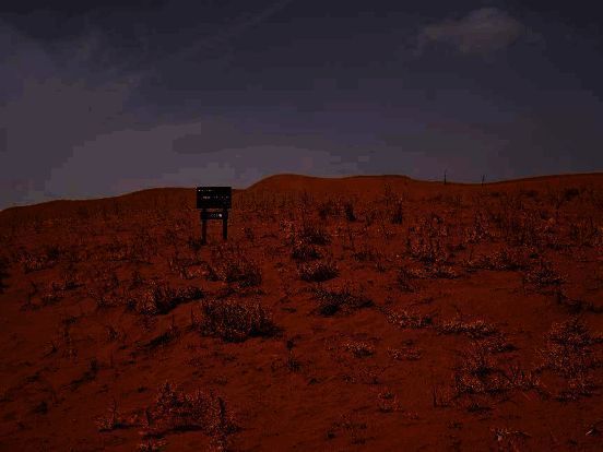 治沙人员工作场景图片3