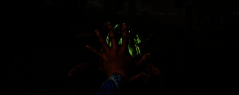 《上古卷轴4：重制版》游戏画面