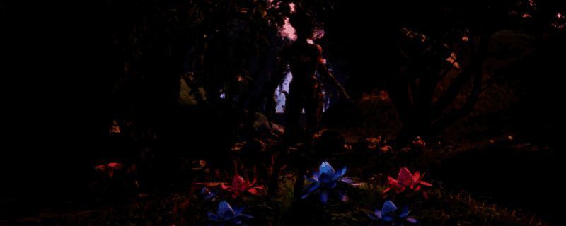 《上古卷轴4：湮灭重制版》相关图片