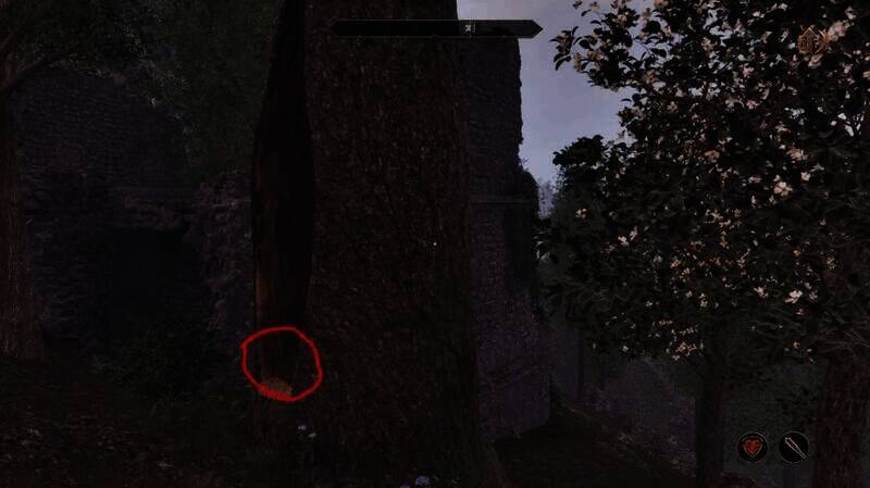 《上古卷轴4：重制版》刷金币相关场景图