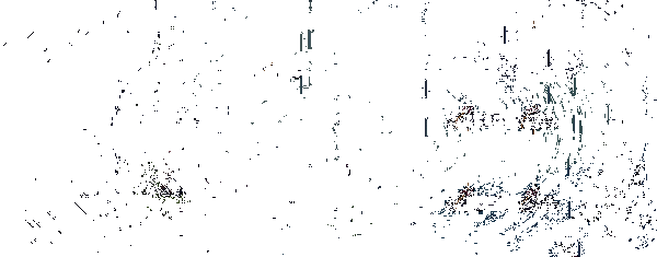 《多洛可小镇》探索危险之地画面