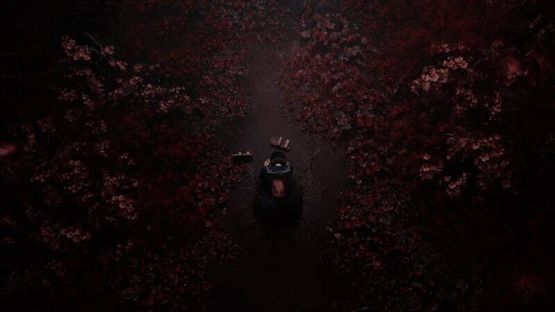 《寂静岭f》游戏截图3