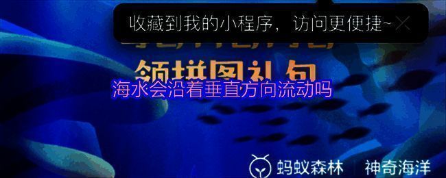 神奇海洋相关图片1