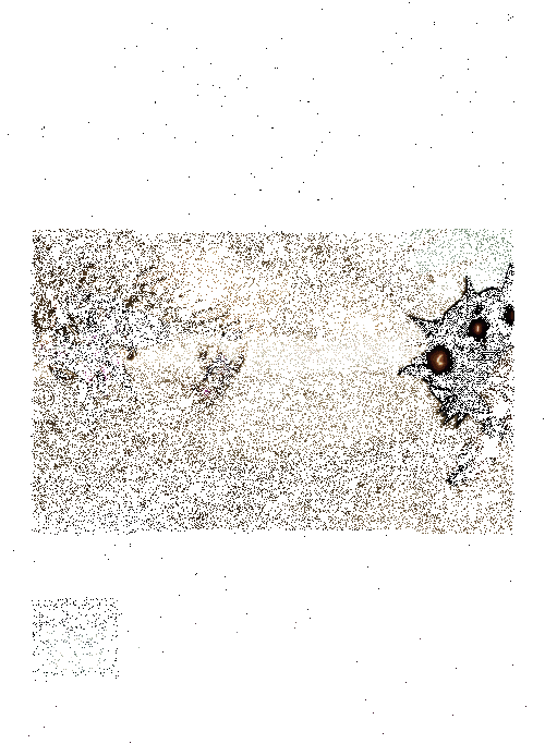 《交错战线》凯布利机神神圣壁垒技能动图