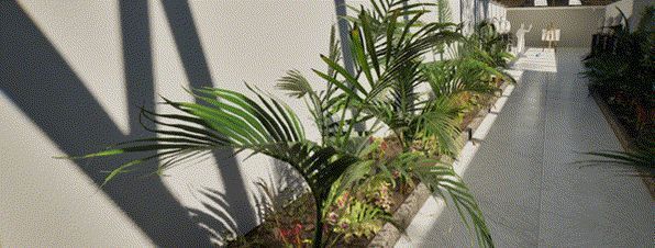 《Greenhouse》沉浸式环境画面