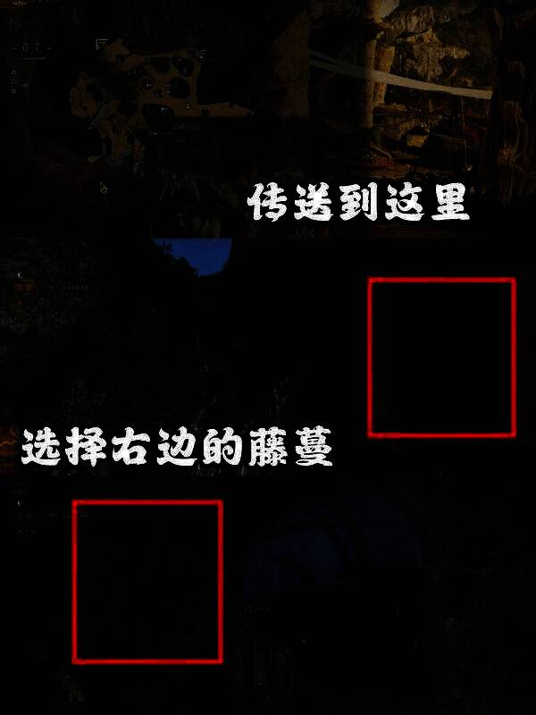 《怪物猎人：荒野》中寻找巨大柔毛秧鸡途中画面1