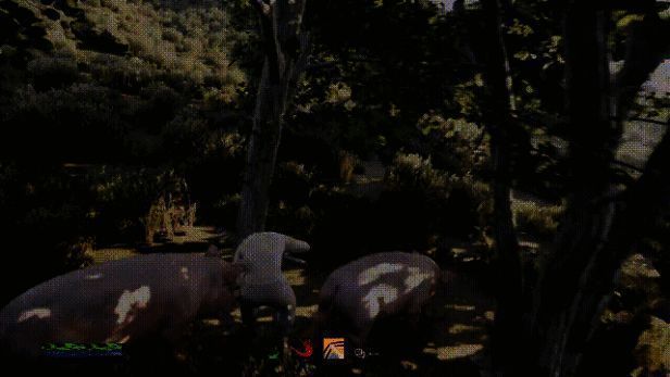 幸福惊喜后花园危机场景