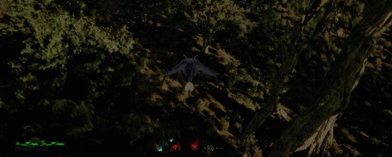 幸福惊喜后花园相关图片1