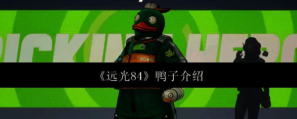 远光84鸭子相关图片1