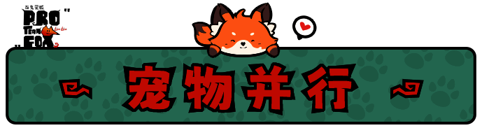 《百变灵狐》奇幻世纪画面截图