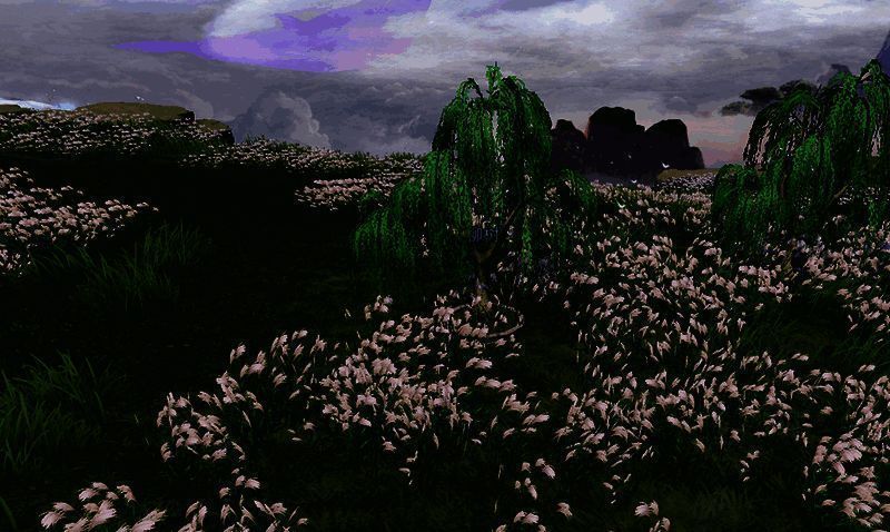 杨柳青青活动宣传图