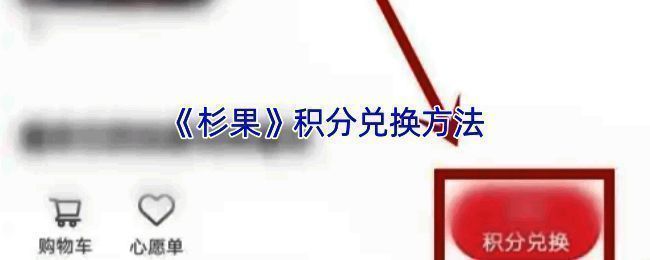 杉果积分兑换相关图片1
