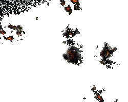 垢尝技能作用动图