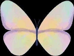 在猫咖情侣甜蜜画面