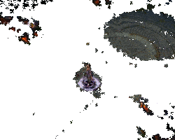 雪姬技能展示动图