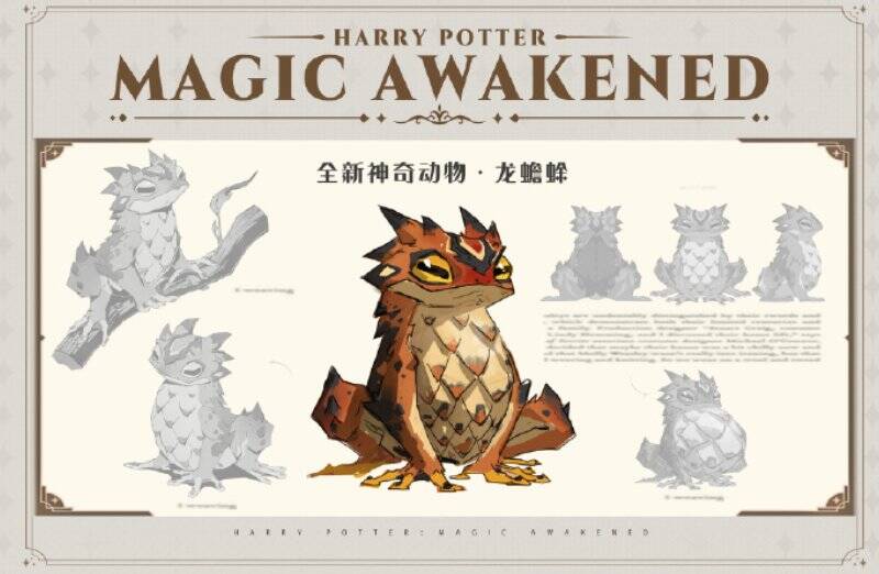 龙蟾蜍神奇动物展示图