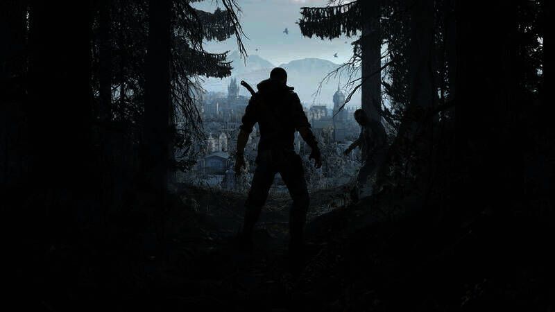 《消逝的光芒:困兽》相关画面1