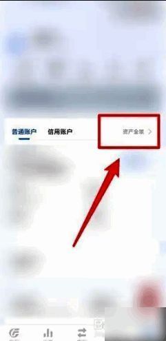 点击资产全景按钮的页面截图