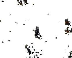 万年竹技能效果动图2