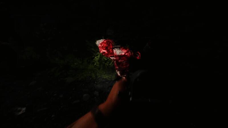 《Z计划：超越秩序》视频截图4