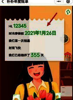 朴朴超市APP年度账单展示界面