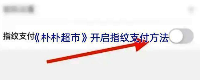 朴朴超市设置指纹支付相关界面示例图1