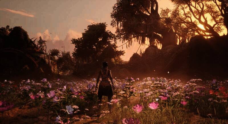 《午夜以南》相关图片6