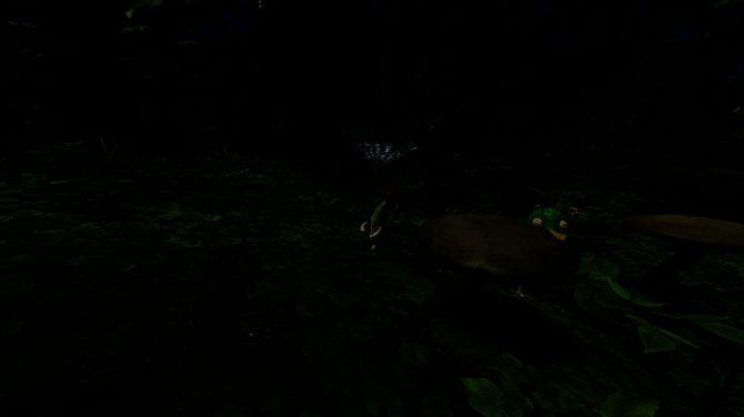 《Forest Floor》相关画面2