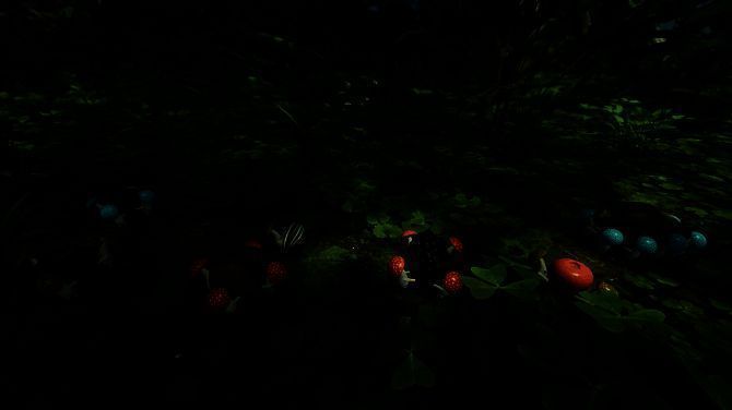 《Forest Floor》相关画面4