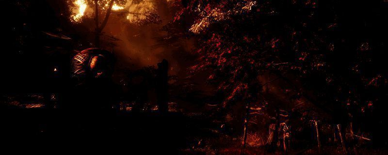 光与影33号远征队游戏画面