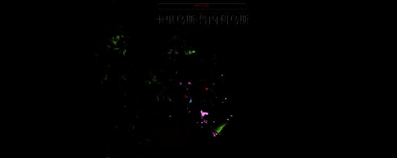 上古卷轴4湮灭重制版相关游戏画面