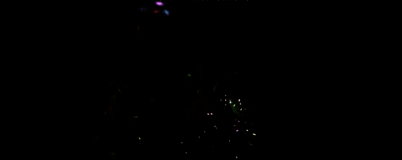 《上古卷轴4:湮灭重制版》游戏相关图片