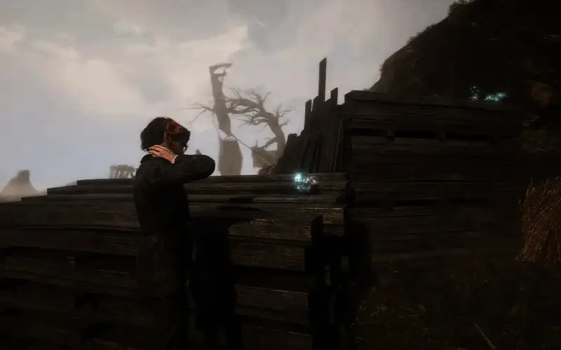 光与影33号远征队源色帽匠战斗画面2