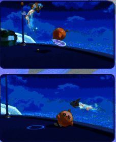 霞光鱼亲密互动相关图片