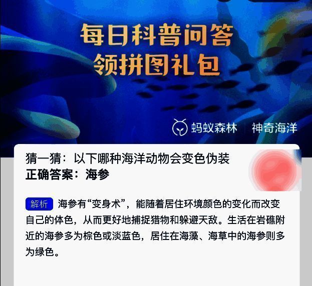 海参在海洋环境中的图片