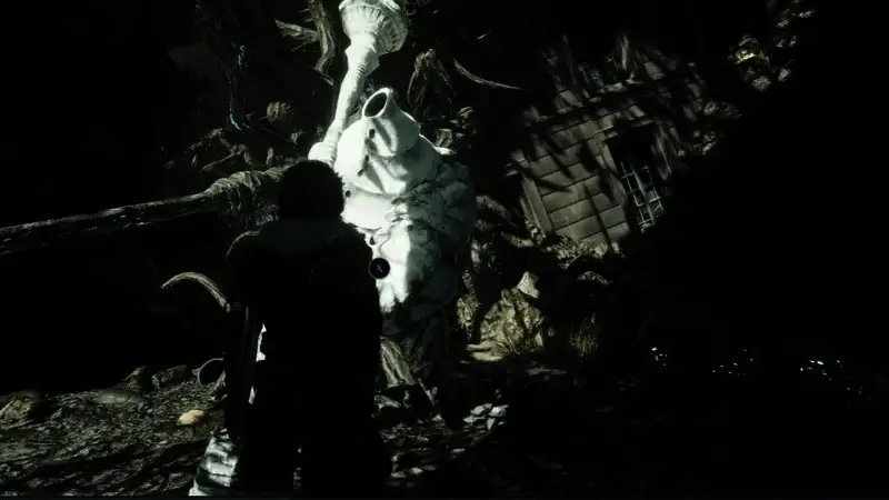 《光与影：33号远征队》相关图片2