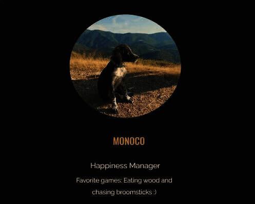 《光与影：33号远征队》相关图片3