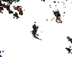 隐良言律之域技能效果动图