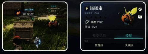 多个蜂箱的场景图片