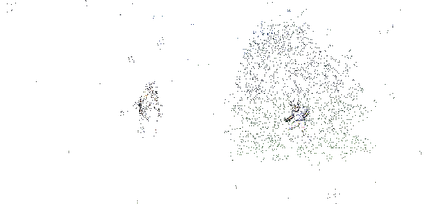 紫罗进行普攻的动态画面