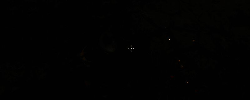 《上古卷轴4:湮灭重制版》游戏画面相关图片