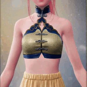 云凝重锦服饰图片