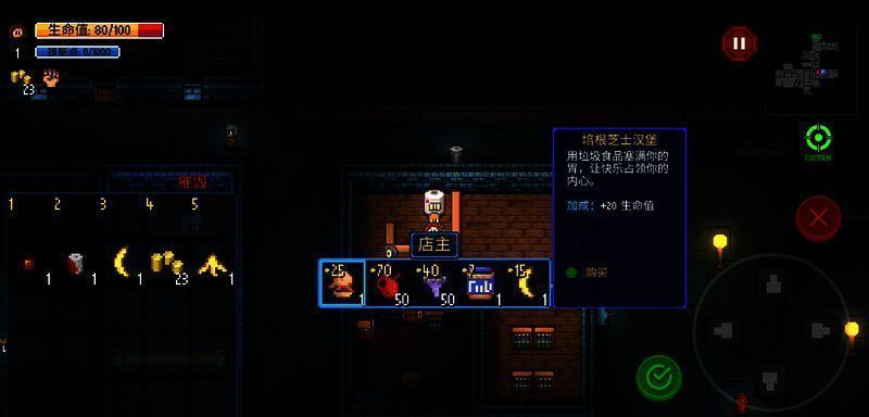 《迷城陆区》玩家获得道具画面截图