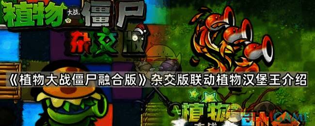 植物大战僵尸融合版汉堡王植物图片