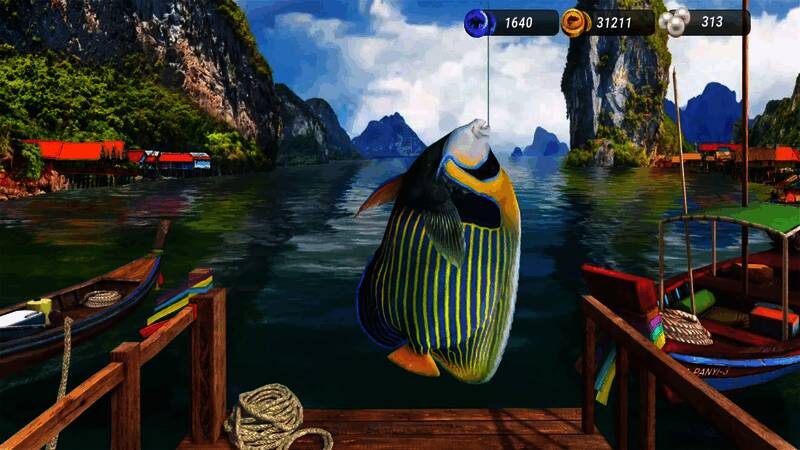 《钓鱼大对决》潘宜岛钓到的鱼类画面