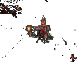 泷夜叉姬胧月斩技能展示