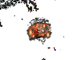 泷夜叉姬月之奥义技能展示